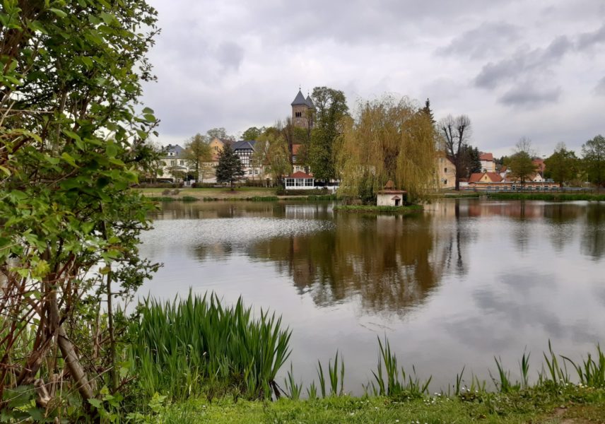 Schwanenteich-Blick 1